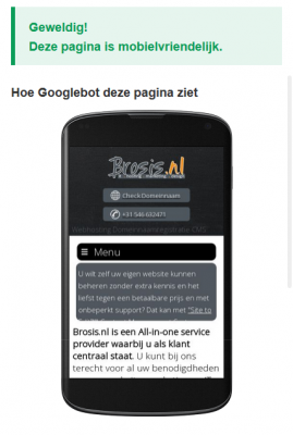 Uitslag Brosis.nl voor de Google Mobile-Friendly Test
